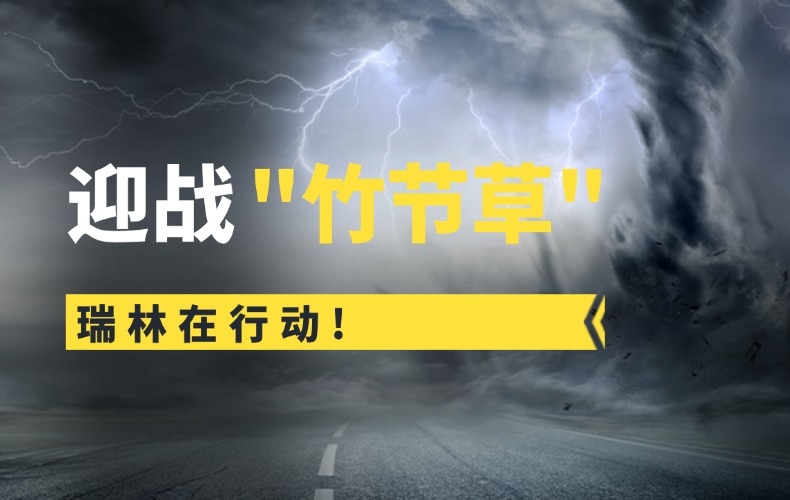 竹节草过境，NLC电子人未停！从应急响应到深度复盘的全链守护